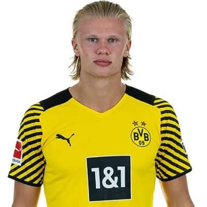 Erling Haaland - Bio, Career, Age, Net Worth, Facts, Nationality